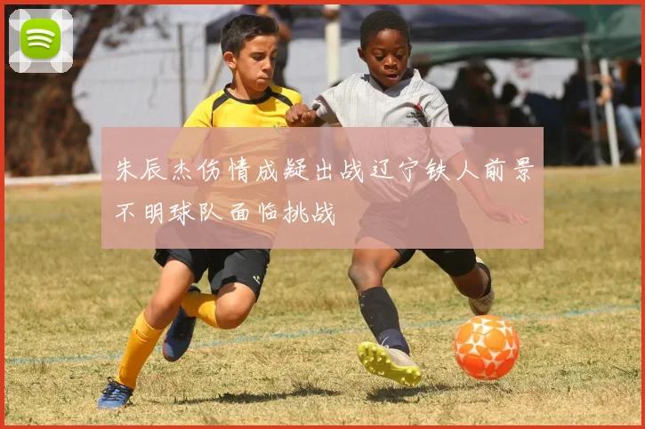 朱辰杰伤情成疑出战辽宁铁人前景不明球队面临挑战
