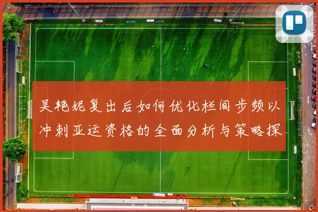 吴艳妮复出后如何优化栏间步频以冲刺亚运资格的全面分析与策略探讨