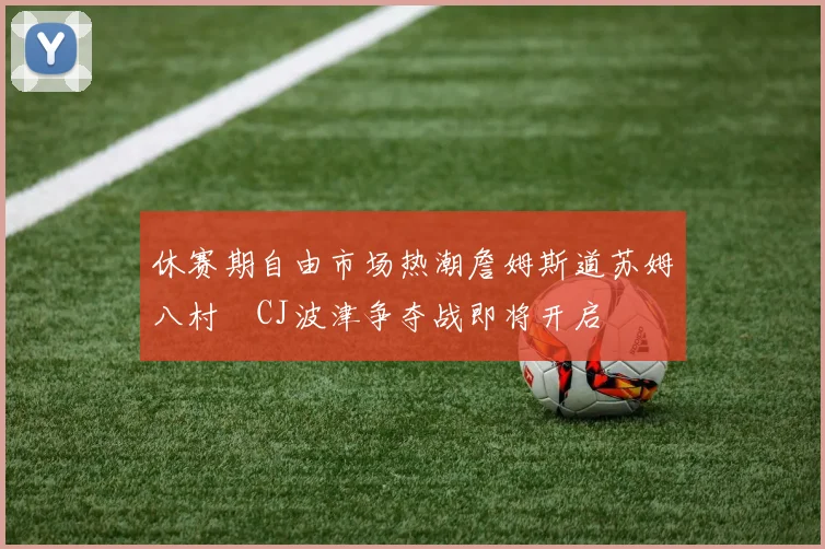 休赛期自由市场热潮詹姆斯道苏姆八村塁CJ波津争夺战即将开启